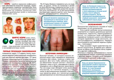 Корь – одна из самых заразных болезней в мире.