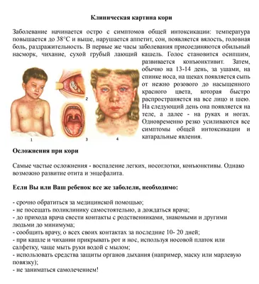 Корь возвращается | Оренбургский областной центр общественного здоровья и  медицинской профилактики