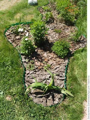Инструкция использования сосновой коры - «Зеленый Сад»