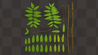 Файл:Sorbus aucuparia Wilde lijsterbes bloeiwijze.jpg — Википедия