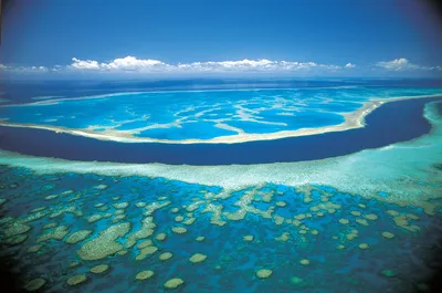 Коралловое Море В Египте — стоковые фотографии и другие картинки Без людей  - Без людей, Вода, Глубокий - iStock