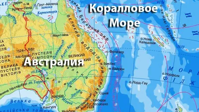 Коралловое море - информация, фото, описание