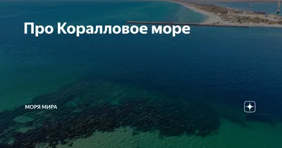 Пейзаж кораллового рифа в море | Премиум Фото