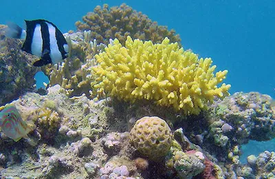 Правила безопасности в Красном Море, на берегу и в воде.