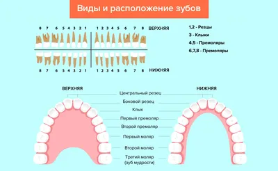 Перелом зуба (сломался зуб) | Стоматология Митино