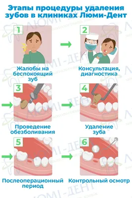 Всё про молочные зубы у детей: когда и как они выпадают? —  Стоматологическая клиника \"ЖЕМЧУГ\" г. Серов