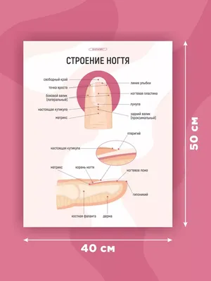 Опил формы ногтей – типы, основные правила и рекомендации