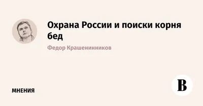 Корень всех бед » Приколы, юмор, фото и видео приколы, красивые девушки на  кайфолог.нет