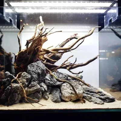 Коряга в аквариум / террариум - натуральная природная декорация (0265)  SN-0265 - Природные коряги - MyAquarium