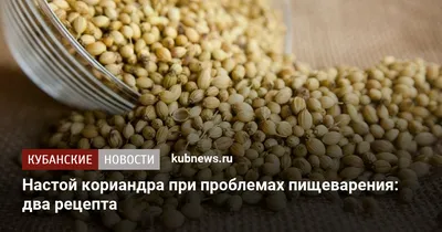 Семена кориандра PUEBLO канадский трансгенный сорт кориандра, двуручка —  Agro-Ukraine