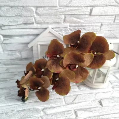 Искусственные орхидеи винтажные, цвет коричневый, ветка 10 голов от 304 руб.