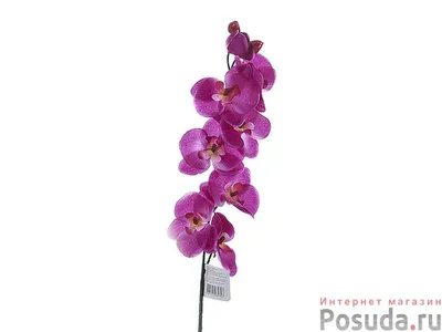 Мир Подаркоff Искусственные цветы - Орхидея