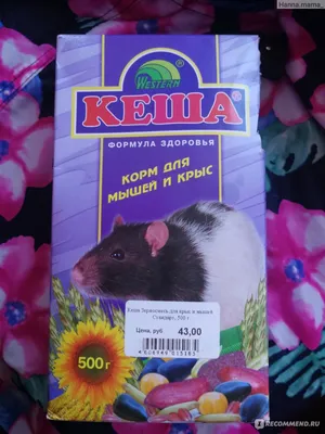 Купить Benelux Корм для мышей, крыс и песчанок \"Премиум\" (Primus mouce rats  gerbil Premium) по цене 218 ₽ в интернет магазине Петшоп 78 (Лапкино)