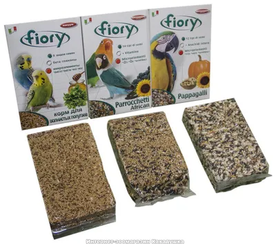 Корма для птиц - купить с доставкой в Новосибирске в интернет-магазине  «Мокрый нос»