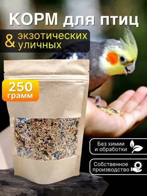 FIORY корм для волнистых попугаев ORO MIX Cocory 400 г купить недорого в  интернет зоомагазине Зубастик-ДВ