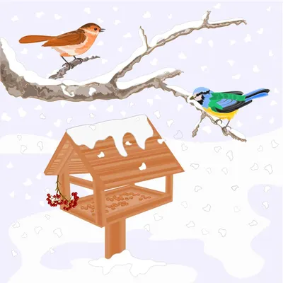 Заботимся о птицах зимой | Статьи для садоводов