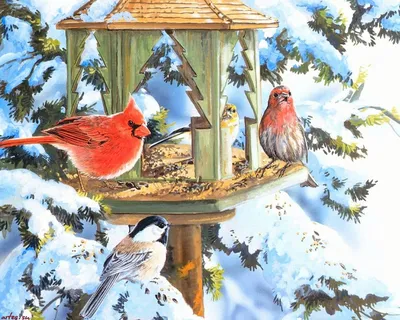 О кормлении птиц в холодное время года — Бобруйский новостной портал  Bobrlife