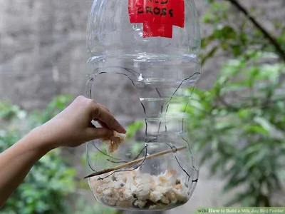 кормушка для птиц из бутылки 5 литров｜Поиск в TikTok