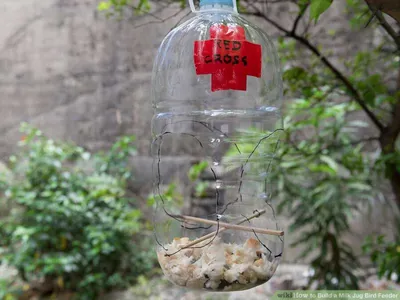 Кормушка для птиц из пластиковой бутылки своими руками: фото, видео,  пошаговая инструкция