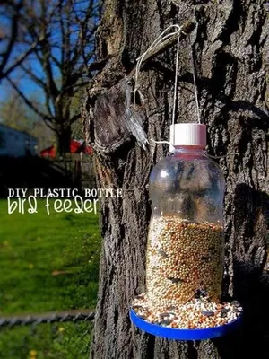 Кормушка для птиц из пластиковой бутылки своими руками пошагово (51 фото) -  красивые фото и картинки pofoto.club