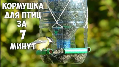 Как сделать кормушку для птиц из пластиковой 5-ти литровой бутылки