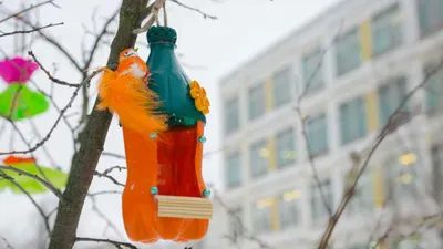 Кормушка для птиц за 7 минут своими руками из пластиковой бутылки . -  YouTube
