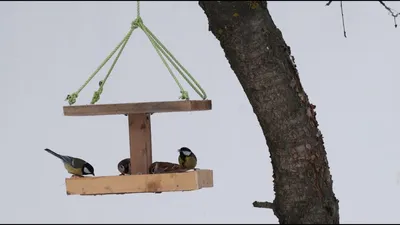 Кормушка для птиц из дерева \"Воробей\" - купить деревянную кормушку для птиц  конструктор