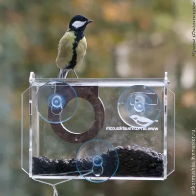 Садовая кормушка для птиц из дерева» — создано в Шедевруме