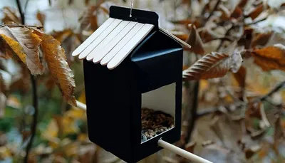 Деревянная кормушка для птиц, водонепроницаемый контейнер для корма для птиц,  подвесной дозатор корма для птиц, украшение сада – лучшие товары в  онлайн-магазине Джум Гик