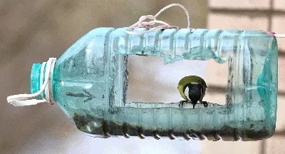 Кормушка для птиц из 5 литровой бутылки