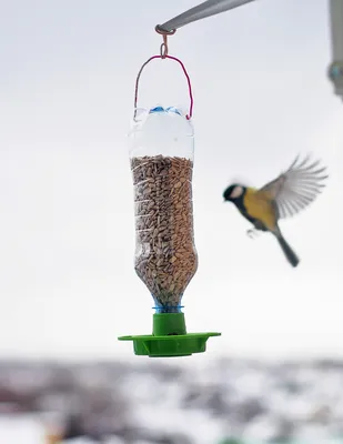 Кормушка для птиц уличная Garden Show на пластиковую бутылку -  «Универсальное и простое в использовании бюджетное решение для подкормки  мелких птиц в лесах и парках» | отзывы