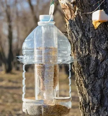 Кормушка для птиц из бутылки - 70 фото