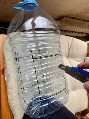 Замечательная кормушка для птиц с 5-ти литровой бутылки - YouTube