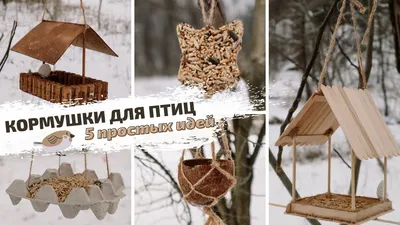 DIY | КОРМУШКА для птиц СВОИМИ РУКАМИ | 5 простых и бюджетных идей - YouTube