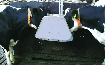 Кормушка для коров под соль OK-Plast - интернет магазин Подворье