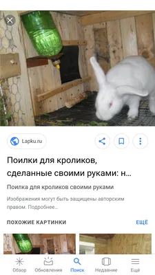 Как сделать крольчатник своими руками. Или купите готовый в Москве