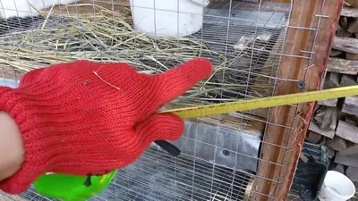 Кормушка-сенник для кролика своими руками | Пикабу