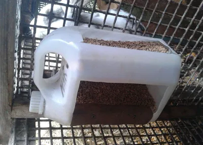 Бункерная кормушка для кроликов своими руками. Схема и инструкция  изготовления самодельных яслей для кормления зерном домашних декоративных  грызунов