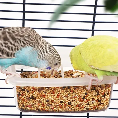Кормушка для попугаев поилка для птиц, принадлежности для птиц, клетка для  попугая птиц, емкость для воды, пластиковый контейнер для пищевых продуктов  | AliExpress