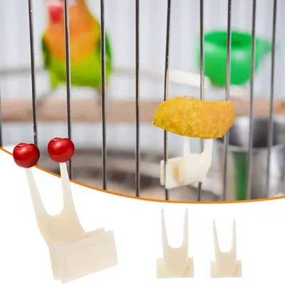 5 шт., пластиковые кормушки для попугаев, фруктов | AliExpress