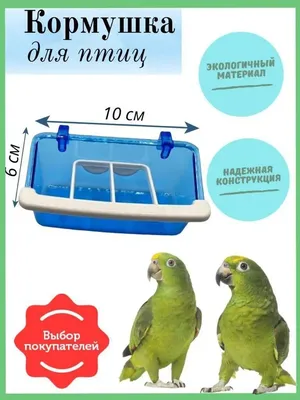 Funny birds Кормушка для птиц / кормушка для попугаев / канареек