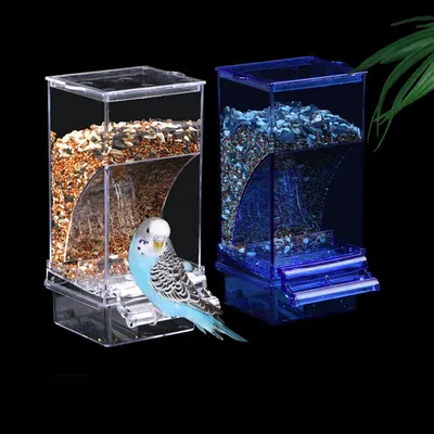 Кормушка для попугаев, автоматическая коробка для кормления, против брызг и  рассеивания | AliExpress