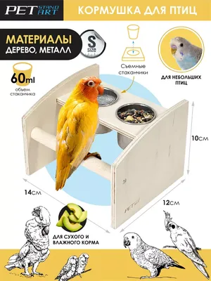Кормушка для попугаев, Жердочки для попугаев Petstandart 123018442 купить  за 563 ₽ в интернет-магазине Wildberries