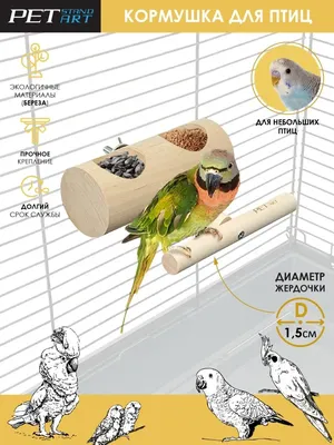 Автоматическая кормушка для попугаев, устройство для кормления без  беспорядка, акриловый прозрачный контейнер для маленьких и средних птиц |  AliExpress