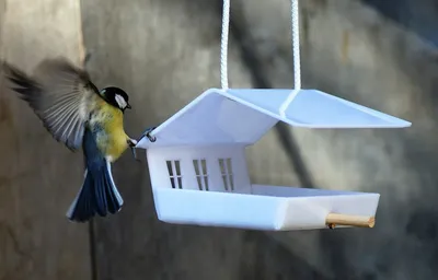 Кормушка для птиц пластик 14х10,5х23,5 см купить недорого в  интернет-магазине товаров для сада Бауцентр