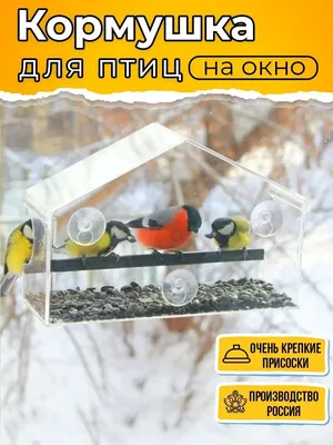 Кормушка для птиц 596424 – купить по цене 4 990 ₽ в Москве в  интернет-магазине ogogo.ru