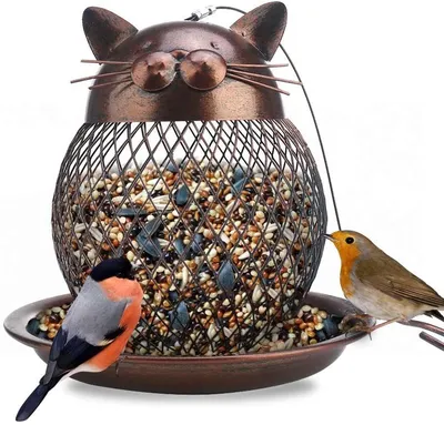 Чем лучше кормить птиц зимой и какую кормушку выбрать? | Новости |  СеровГлобус.ру