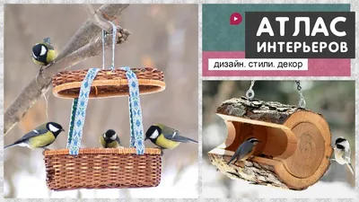 Кормушка для птиц своими руками: оригинальные идеи - Бобёр.ру