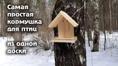 Как сделать кормушку для птиц без станков - YouTube