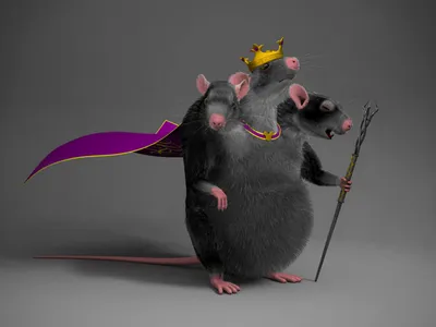 Смотреть фильм Король крыс онлайн бесплатно в хорошем качестве
